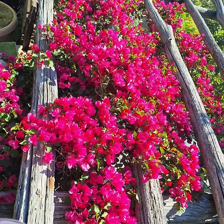 Libera1 Daire Stara Baška