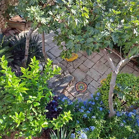 Libera1 * Stara Baška