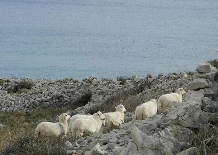 Libera1 アパート