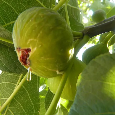 Libera1 Апартаменты *