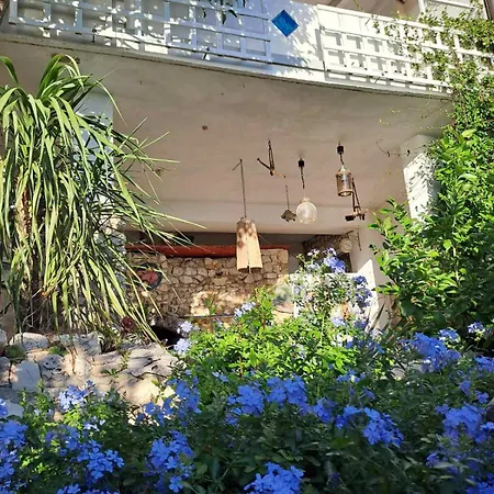 Libera1 * Стара Башка